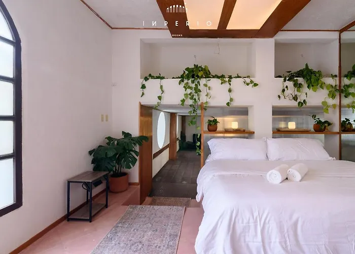 Creative Casa With An Cinema, Condesa Escandon *