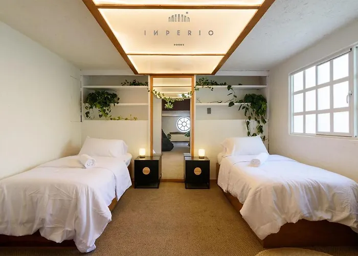 Creative Casa With An Cinema, Condesa Escandon